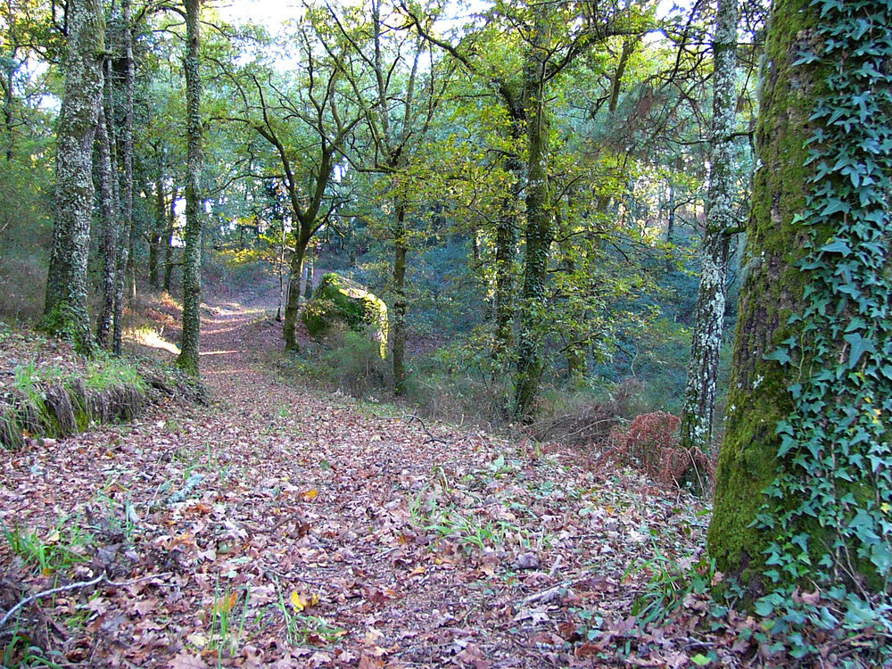 Quinta Da Prova Arcos de Valdevez Exterior foto